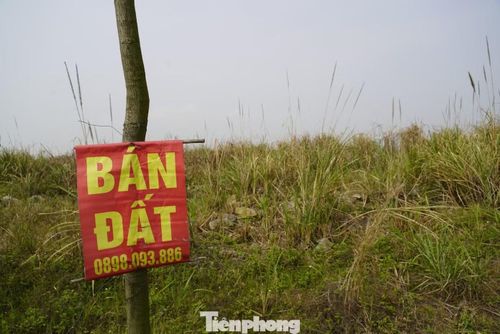 Dự án Cao Xanh, Hà Khánh C bị trùng hai nhà đầu tư trên cùng một thửa đất.