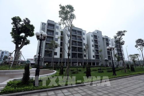 Ảnh minh họa: Phan Tuấn Anh/TTXVN