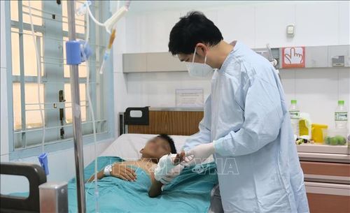 Bác sĩ Khoa Bỏng - Chỉnh trực, Bệnh viện Nhi đồng 2 Thành phố Hồ Chí Minh đang kiểm tra cho bệnh nhi. Ảnh tư liệu: Đinh Hằng/TTXVN