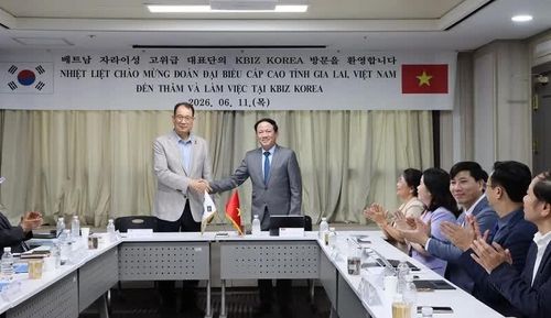 Chủ tịch UBND tỉnh Gia Lai Phạm Anh Tuấn làm việc với đại diện Hiệp hội Doanh nghiệp vừa và nhỏ Hàn Quốc.