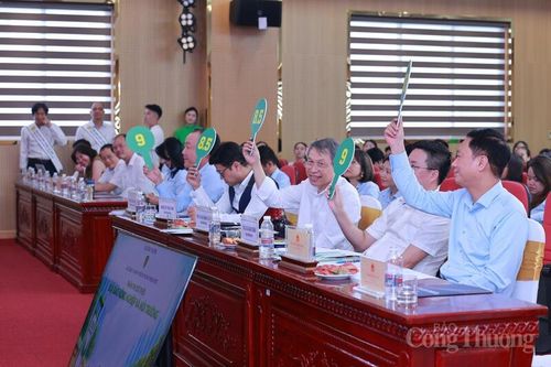 Ban Giám khảo chấm điểm các phần thi dựa trên kiến thức, tính sáng tạo và khả năng truyền tải thông điệp. Ảnh: Quỳnh Trang