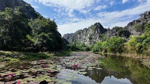 Vào mùa hè, mặt hồ Kim Sơn được phủ bởi sắc hồng của hoa súng nở rộ, tạo nên khung cảnh đẹp như tranh vẽ. Giữa không gian mênh mang, du khách sẽ được ngắm hoa súng nở rộ trên mặt nước, khung cảnh thơ mộng chẳng khác nào bức tranh thủy mặc.Đây cũng là thời điểm nhiều du khách tìm đến để ghi lại những khoảnh khắc đẹp và tận hưởng không gian thanh bình giữa thiên nhiên.