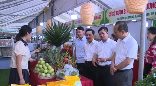 Phó Giám đốc Sở Nông nghiệp và Môi trường Nguyễn Đức Cường cùng các đại biểu tham quan gian hàng của xã Nông Cống.