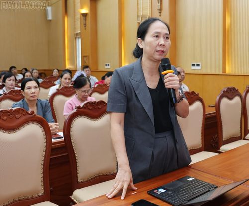 Cử tri các điểm cầu phát biểu ý kiến tại hội nghị.