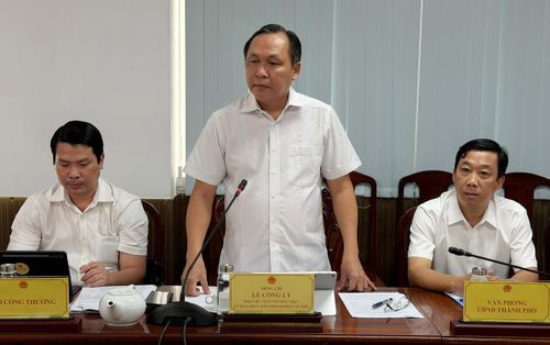 Ông Lê Công Lý, Phó chủ tịch Thường trực UBND TP Cần Thơ phát biểu tại cuộc họp sáng 12/6.