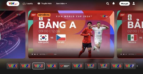 Khán giả có thể theo dõi giải đấu thông qua website của VTVgo trên máy tính.