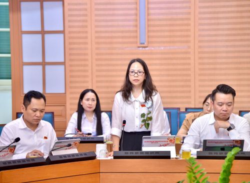 Đại biểu Lâm Thị Quỳnh Dao, Phó Trưởng ban Pháp chế HĐND thành phố phát biểu. Ảnh: Viết Thành