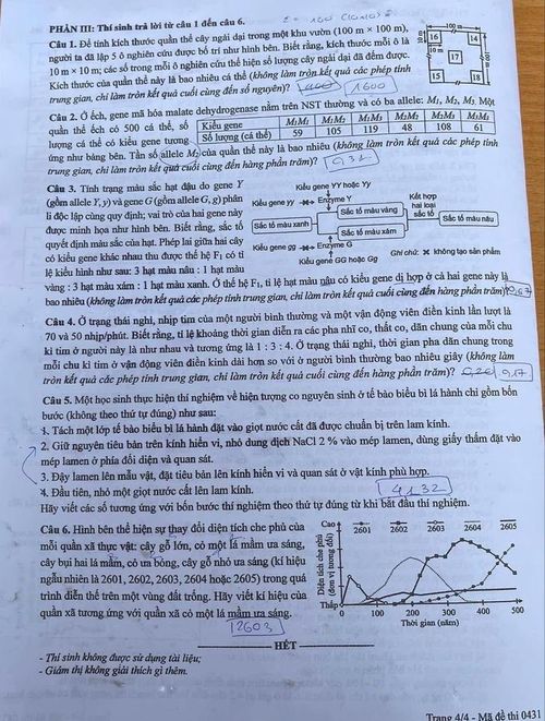 Đề thi môn Sinh học tốt nghiệp THPT 2026 mã đề 0431.