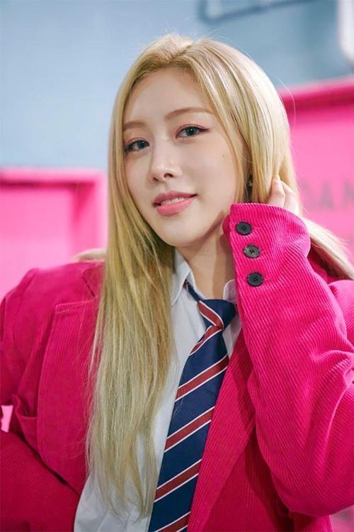 Hong Euijin ra mắt cùng nhóm Sonamoo vào năm 2014.
