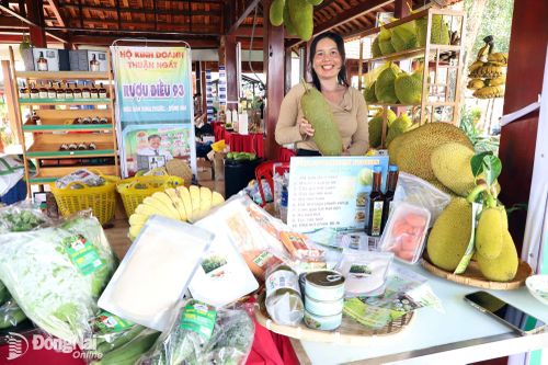 Bà Trương Thị Thu Huyền, đại diện Công ty cổ phần thực phẩm MITVEGAN (xã Tân Quan) giới thiệu các loại đặc sản trái cây tại Lễ hội Quả điều vàng thành phố Đồng Nai năm 2026.