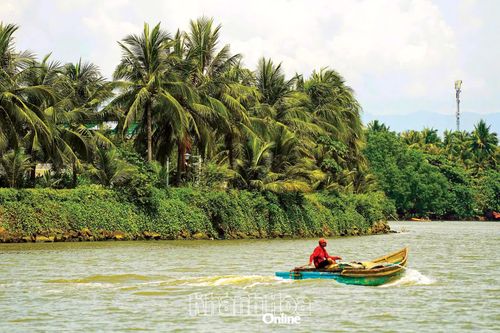 Hàng dừa bên dòng sông từng gắn với những buổi rong chơi của trẻ em Xóm Bóng.