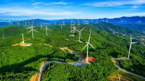 Thanh tra tỉnh kiến nghị tổ chức kiểm điểm, rút kinh nghiệm đối với tập thể, cá nhân liên quan.
