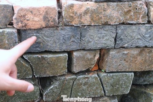  Viên gạch có hoa văn hình lá nằm lẫn với những viên gạch trơn. 