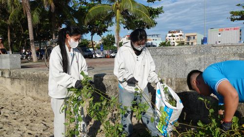  Các tình nguyện viên thu gom rác trên bãi biển. Ảnh: XUÂN QUỲNH 