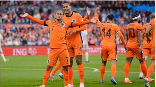 Về lịch sử đối đầu, hai đội mới gặp nhau một lần tại World Cup 2010 và Hà Lan giành chiến thắng tối thiểu 1-0 nhờ pha lập công của Wesley Sneijder.
