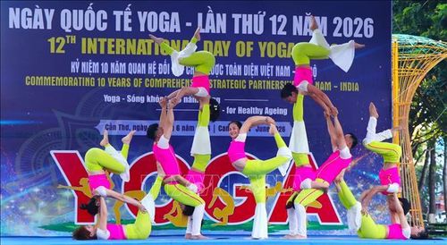 Tiết mục Yoga tập thể của đội tuyển Yoga TP Hồ Chí Minh.