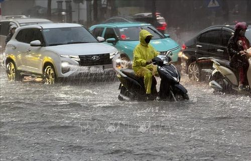 Khu vực vùng núi và trung du Bắc Bộ có mưa vừa, mưa to từ đêm 14/6. Ảnh TTXVN
