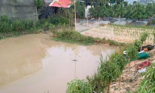  Ao cá - nơi nạn nhân N câu cá cùng một số người bạn. 