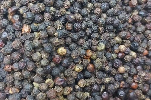  Giá hồ tiêu hôm nay dao động trong khoảng 138.500-140.500 đồng/kg. Ảnh: M.T 