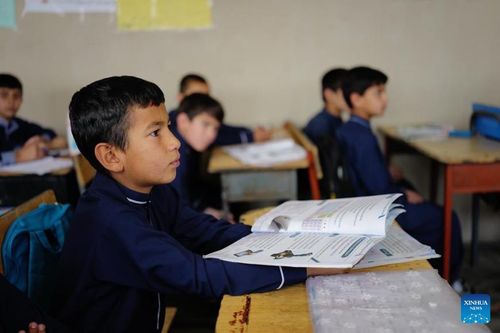 Học sinh tại một trường tiểu học tư thục ở Kabul, Afghanistan. Ảnh: Tân Hoa xã