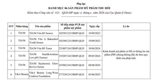 Danh sách 6 sản phẩm vi phạm. Ảnh chụp màn hình
