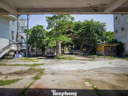 Bên trong khuôn viên, cỏ dại mọc lan tại nhiều vị trí, cảnh quan nhếch nhác.