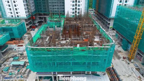Dự án này do Công ty CP Phát triển Bất động sản Phát Đạt làm chủ đầu tư.