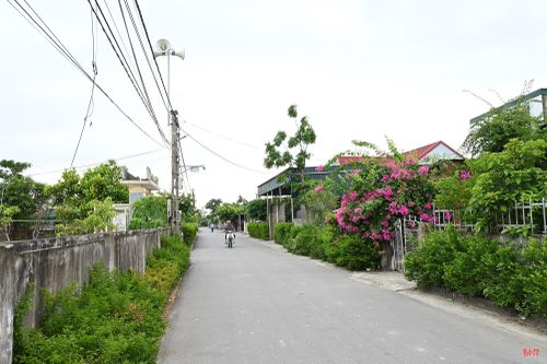 Quy mô dân cư lớn hơn đã tạo điều kiện để thôn Kim Tân tập trung nguồn lực đầu tư hạ tầng, đến nay, hơn 80% đường giao thông đã được thảm nhựa.