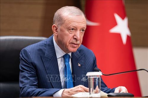 Tổng thống Thổ Nhĩ Kỳ Recep Tayyip Erdogan. Ảnh: Anadolu Agency/TTXVN