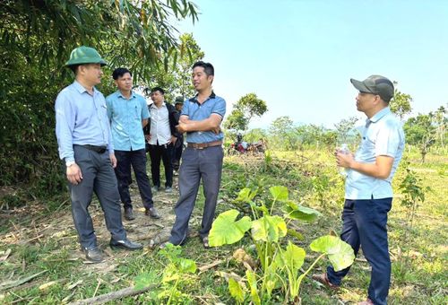 Lãnh đạo xã Phước Trà nắm tình hình thực tế tại cơ sở. Ảnh: CÔNG TÚ