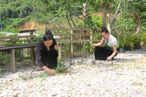 Người dân Bản du lịch cộng đồng U Va, xã Thanh Yên cải tạo cảnh quan và không gian đón khách.