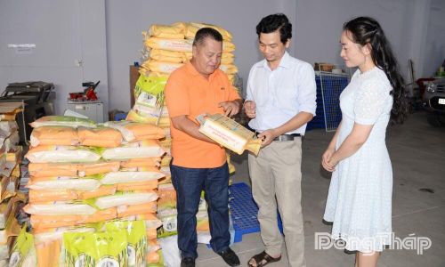 Thời gian qua, ngành Khoa học và Công nghệ tỉnh đã tích cực hỗ trợ các tổ chức, cá nhân phát triển tài sản trí tuệ, khai thác các nhãn hiệu chứng nhận.
