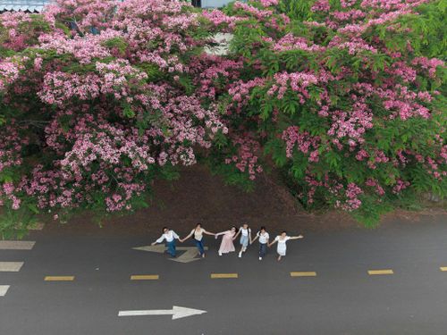 Vẻ đẹp bình dị của mùa hoa đang thu hút ngày càng nhiều du khách tìm đến các khu vực vùng ven để tham quan và trải nghiệm