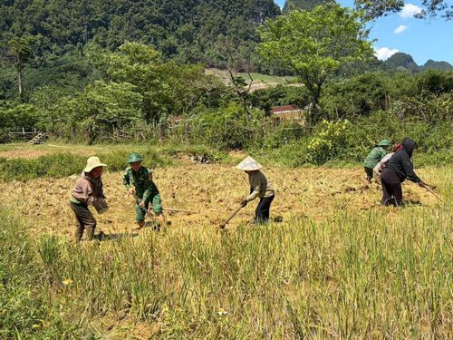 Cán bộ chiến sĩ Đồn Biên phòng Cà Xèng cùng nhân dân chỉnh trang bờ thửa