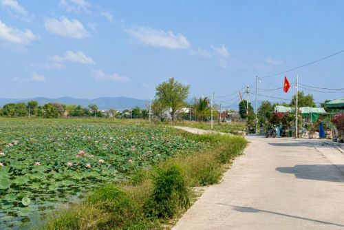 Xã Hồng Sơn, tỉnh Lâm Đồng đang là địa phương được đánh giá có tiềm năng rất lớn để phát triển mô hình “lợi nhuận kép sen- lúa”