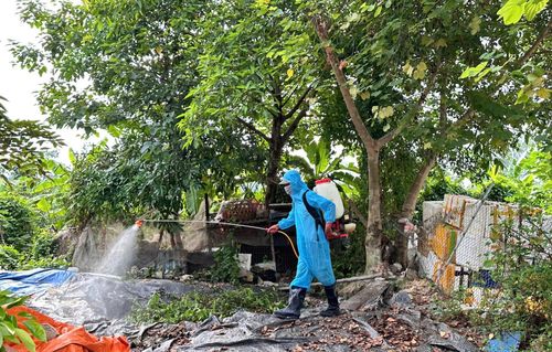Công tác vệ sinh phòng dịch được thực hiện tích cực. Ảnh: Phương Lộc