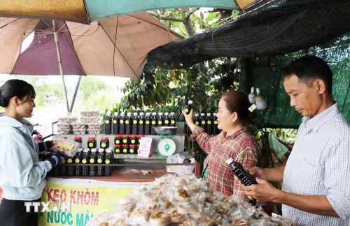 Khách hàng chọn mua sản phẩm làm từ trái dứa ở xã Tân Phước 1, tỉnh Đồng Tháp. (Ảnh: Hữu Chí/TTXVN)