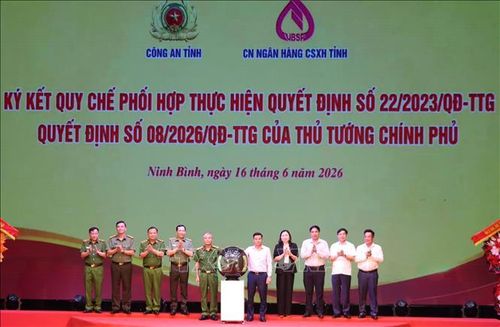 Các đại biểu bấm nút thực hiện nghi thức ký kết Quy chế phối hợp tại chương trình.