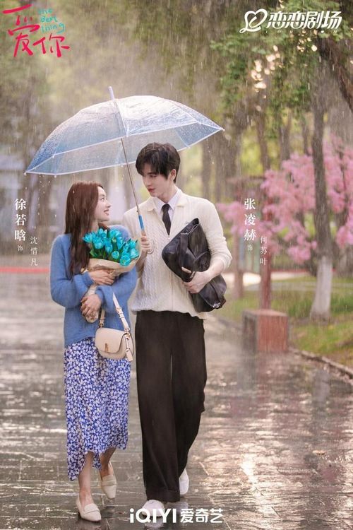 Yêu Em đưa khán giả theo chân Thẩm Tích Phàm, nữ quản lý khách sạn luôn bận rộn đến mức mất ngủ và đau nửa đầu kéo dài, cho đến khi cô gặp bác sĩ Đông y Hà Tô Diệp do Trương Lăng Hách thủ vai. Không chỉ điều trị các vấn đề sức khỏe, Hà Tô Diệp còn bằng sự dịu dàng và tinh tế giúp Thẩm Tích Phàm từng bước vượt qua những tổn thương từ mối tình cũ, tìm lại sự cân bằng trong cuộc sống. Sự kết hợp giữa yếu tố tình yêu đô thị và nét đẹp của y học cổ truyền Trung Hoa tạo nên một tác phẩm nhẹ nhàng, giàu cảm xúc với nhiều khoảnh khắc ấm áp, khiến người xem luôn muốn quay lại thưởng thức.