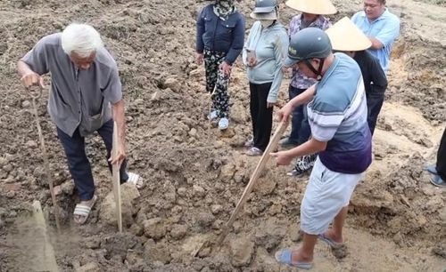 Người dân đang xác định lại vị trí phần mộ của gia đình bị san lấp