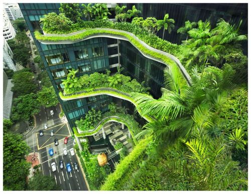 Singapore đang đứng đầu danh sách đất nước sở hữu số cây xanh tại các khu đô thị nhiều nhất trên thế giới. (Nguồn: AFP)