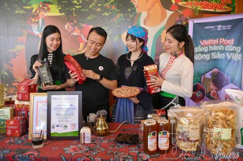 Các KOL, KOC giới thiệu nông sản Điện Biên trên Megalive.
