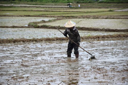 Tranh thủ thời tiết thuận lợi, nông dân các xã đang làm đất chuẩn bị vụ mới.