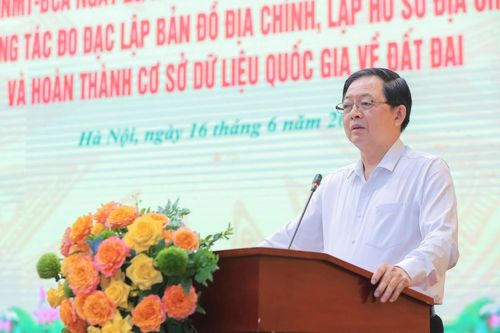 Phó Thủ tướng Chính phủ Hồ Quốc Dũng phát biểu chỉ đạo tại hội nghị. Ảnh: TTXVN
