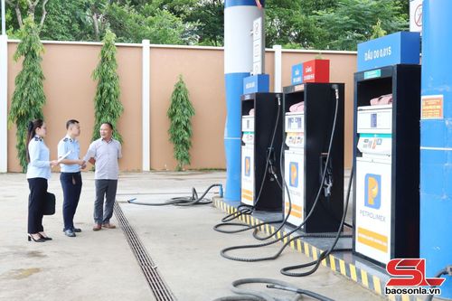 Kiểm tra hoạt động kinh doanh xăng dầu tại Cửa hàng Xăng dầu số 2, Công ty TNHH Thương mại Trường Hải.
