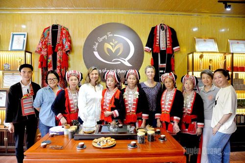 Khách du lịch trải nghiệm không gian chè Shan tại xã Thông Nguyên.