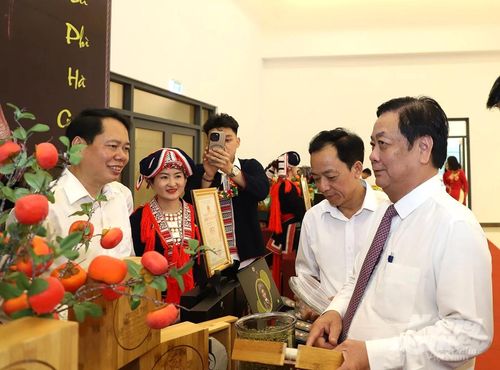 Từ gợi ý của cựu Bộ trưởng Lê Minh Hoan, HTX chè Phìn Hồ đã quyết định đổi tên "trà Phổ Nhĩ" sang tên mới "Trà Cổ Việt".
