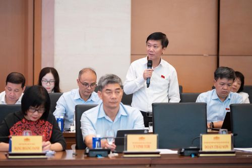 Phó Chủ nhiệm Ủy ban Văn hóa và Xã hội Lâm Văn Đoan phát biểu. Ảnh: Phạm Thắng