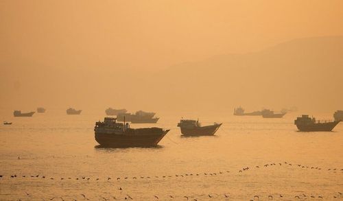 Các tàu thuyền neo đậu gần eo biển Hormuz ngày 15/6. Dù Tổng thống Trump tuyên bố eo biển Hormuz đã được mở lại, phần lớn tàu thuyền vẫn chưa dám di chuyển qua eo biển Hormuz. Ảnh: Reuters.