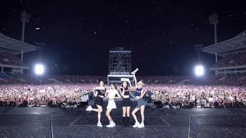 Đêm nhạc BlackPink tại Sân vận động Quốc gia Mỹ Đình thu hút đông đảo khán giả. Ảnh: BLACKPINK